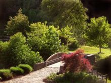 Landscaping your home can be an enjoyable task. Learn more.