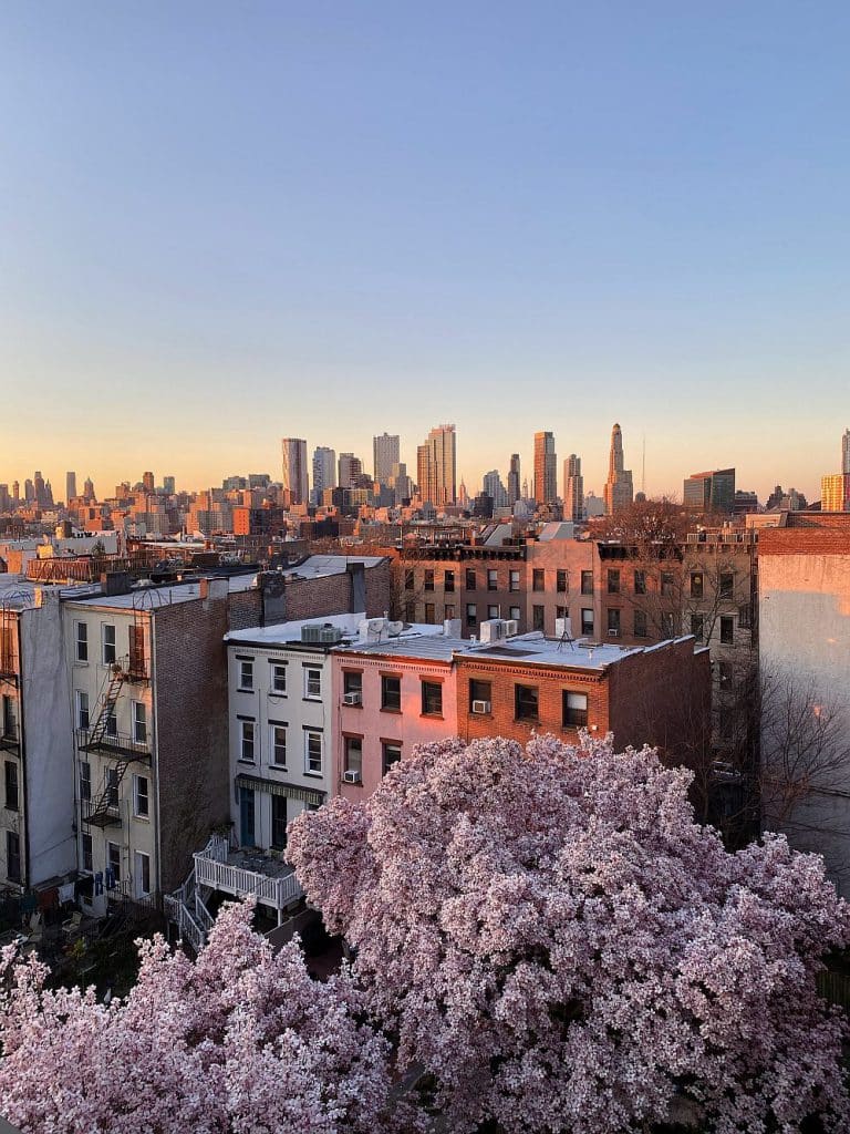 Brooklyn neighborhood 